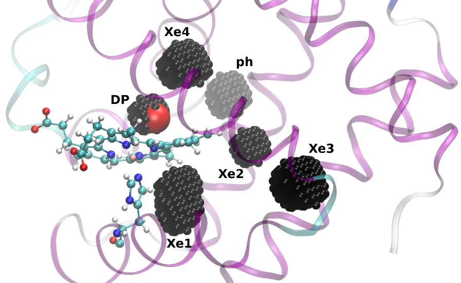 Accelerating Molecular Dynamics to Reach Unprecedented Simulation Times ...